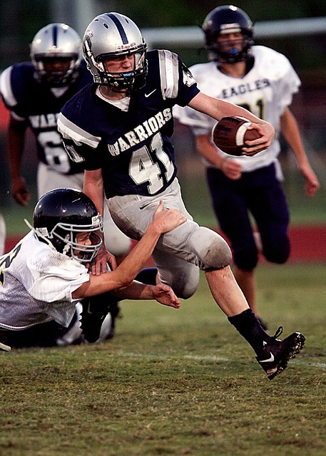 和谐相处 和谐相处