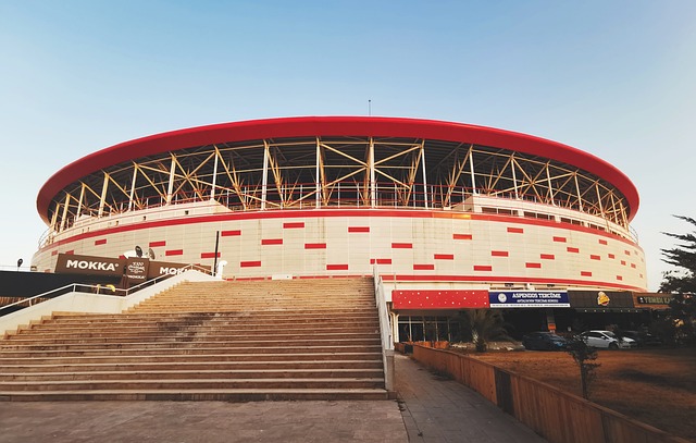 位年轻选手 位年轻选手