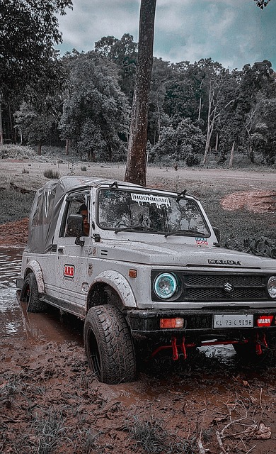 郑钦文在迈 郑钦文在迈