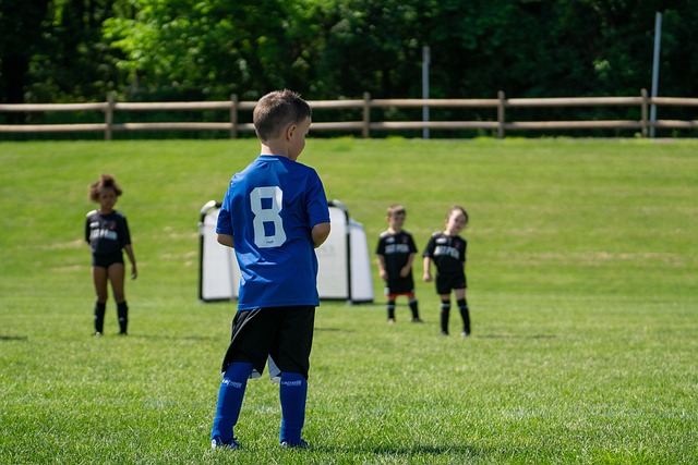 通过对这些 通过对这些