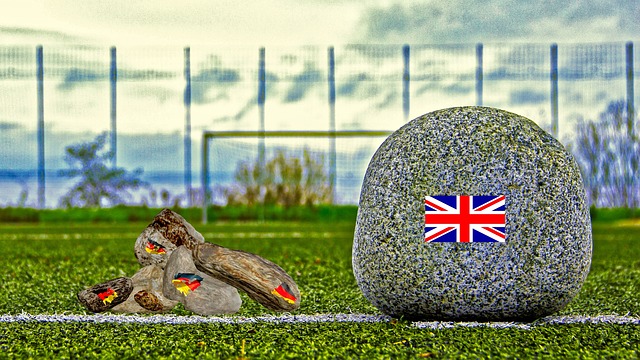 R片段只展 R片段只展